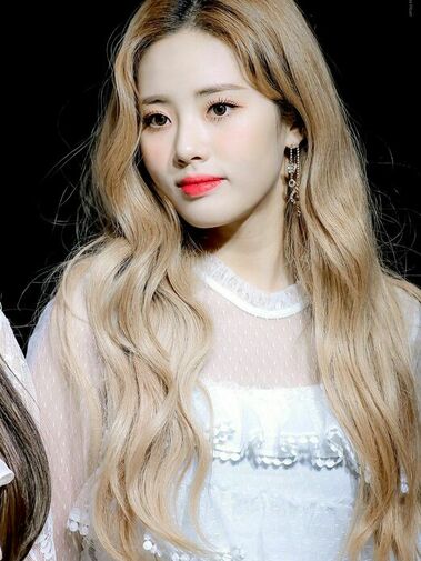 Jiwon (박지원)